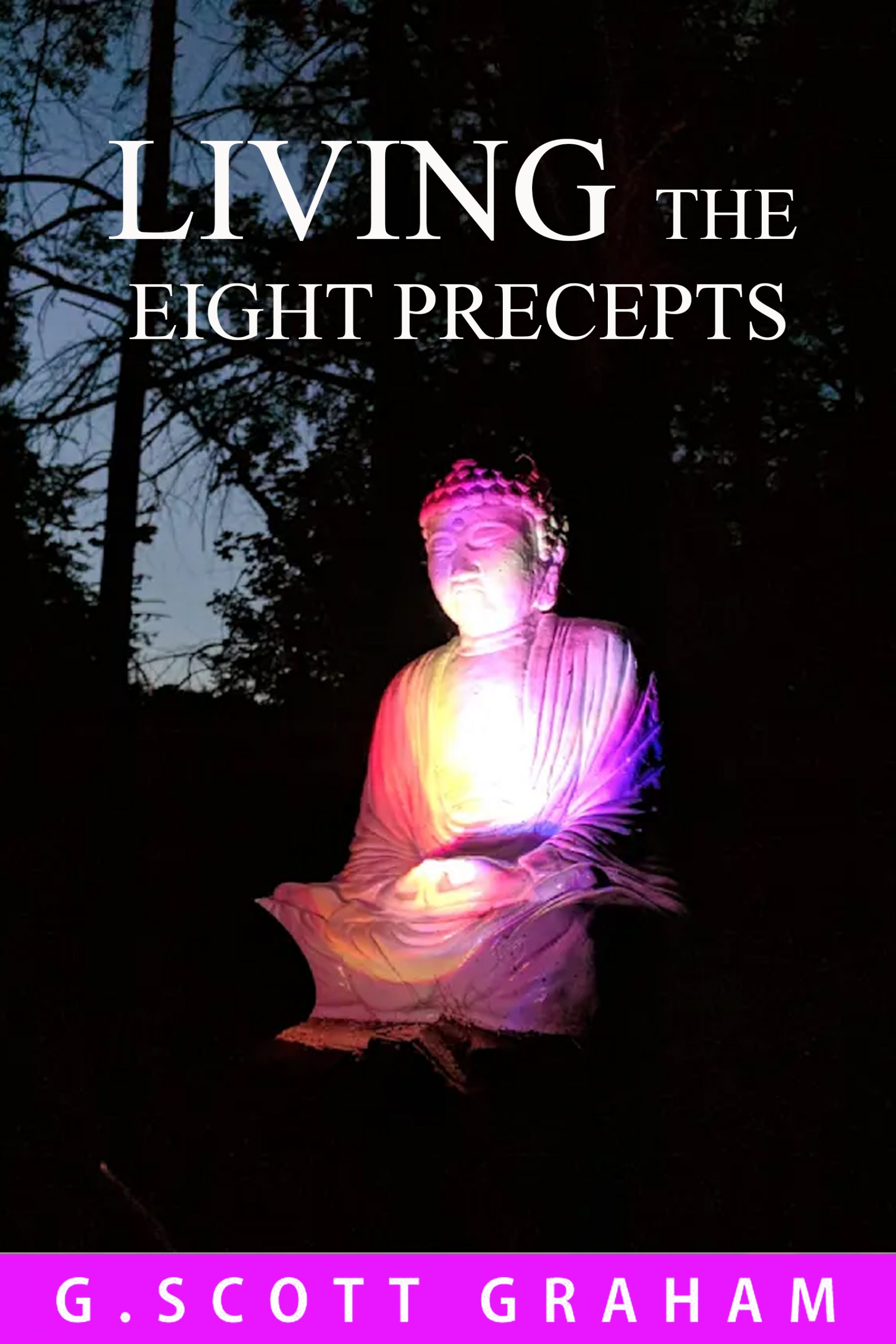 Living the Eight Precepts - G. Scott Graham