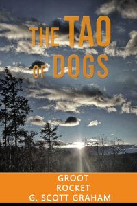 Book cover: The Tao of Dogs
